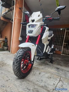 motor electrico ZP Champion 