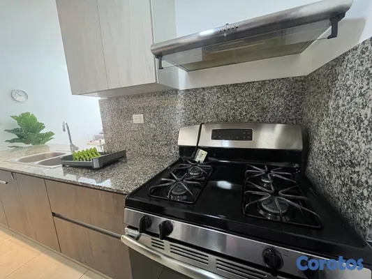 apartamentos - Apartamento en Alquiler en Naco Amueblado de UNA H 18