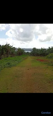solares y terrenos - se vende en samana playa ricon 6