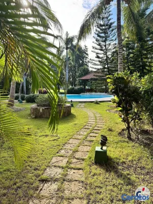 apartamentos - 1BDR Apartment, in Cocotal Golf and Country Club-0 19