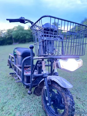 motores y pasolas - motor eléctrico en venta  2