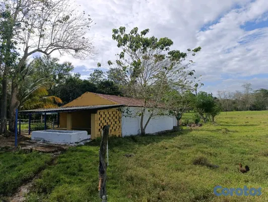 solares y terrenos - hacienda ganadera en Monte playa  12