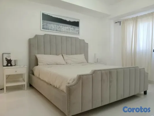 apartamentos - Apartamento En Alquiler En Bella Vista  5