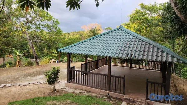 solares y terrenos - En Venta Finca Agricola en Villa Altagracia con Cacao, Aguacate y chinola 3