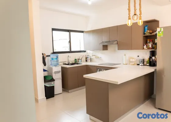 apartamentos - Apartamento en alquiler en Residencial Larimar, Co 3