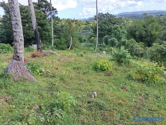 solares y terrenos - finca en venta en samana aproximadamente 50 tarea a 275 mil la tarea negociable  6