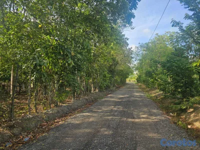 Terreno En Venta En La Joya, San Francisco De Maco