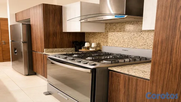 apartamentos - RENTO APARTAMENTO AMUEBLADO EN LA ESPERILLA 4