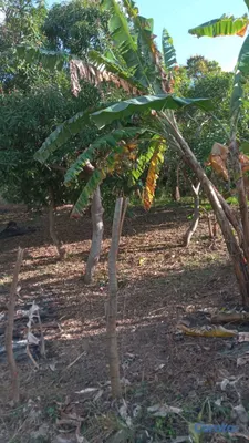 solares y terrenos - se vende terreno en San Cristóbal ideal para villa o 🏡 casa de campo  8