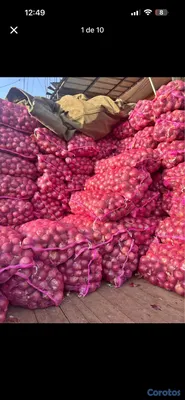 cocina - vegetales y frutas y víveres huevos  9