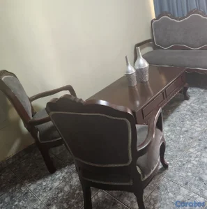 Juego de Muebles Caoba, elegante estilo de juego de Sala Luis XV
