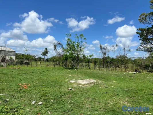 solares y terrenos - Vendo Terreno para NAVES, APTOS en PEDRO BRAND, 45 10