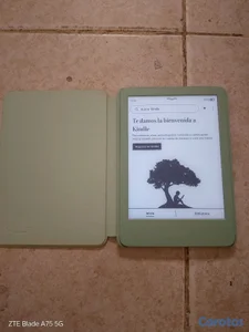 Kindle 11va generación