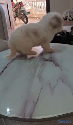 seller-logo