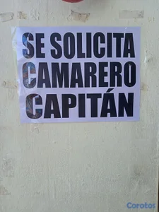empelo disponible 8 hora de trabajo camarero profesional 