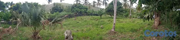 solares y terrenos - venta de terreno  9