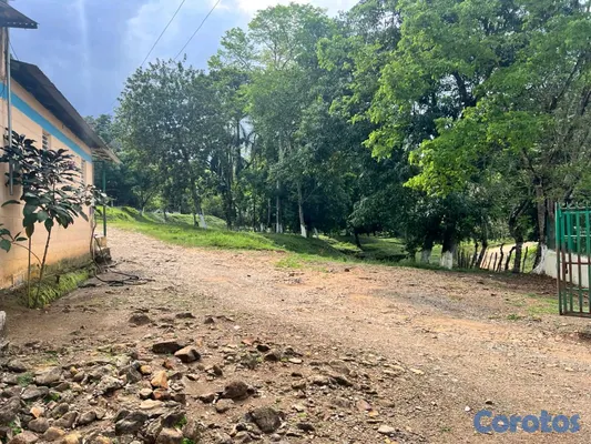 solares y terrenos - finca de criadero de animales en maimon 9