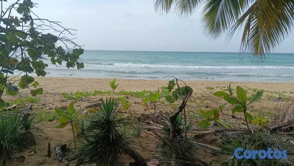 solares y terrenos - Solar de 1800 m² en 1ra Línea de Playa en Cosón Las Terrenas 3