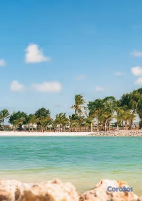 casas vacacionales y villas - Venta de lujosa villa de 3 habitaciones con linea en Vista Cana 5