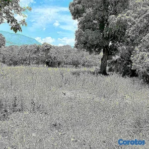 VENDO SOLAR EN JARABACOA