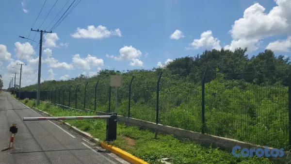 solares y terrenos - Solar de 62,000 metros en Boca Chica, carretera Ju 4