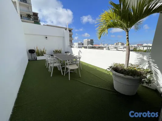 apartamentos - Apartamento en Alquiler en Piantini Amueblado de U 9