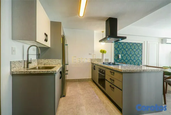 apartamentos - Apartamento en alquiler (80mts2) de 1 habitacion ubicado en el sector  Piantini 3