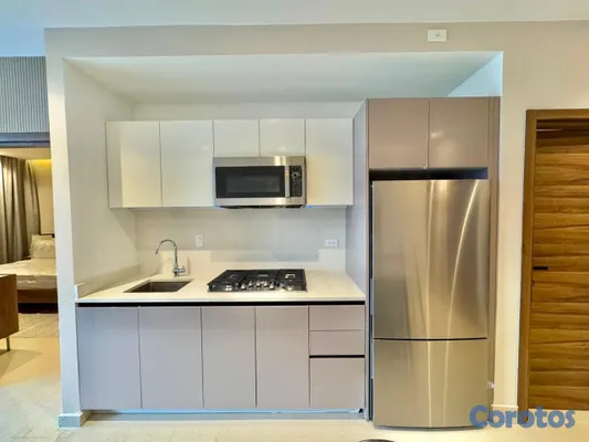 apartamentos - Apartamentoamueblado en alquiler en Piantini - 15 7