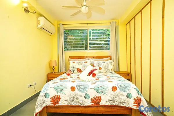 apartamentos - Apart-Studio en  Playa Las Ballenas. 8