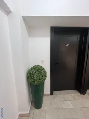 apartamentos - ALQUILER DE APARTAMENTO en PIANTINI 19