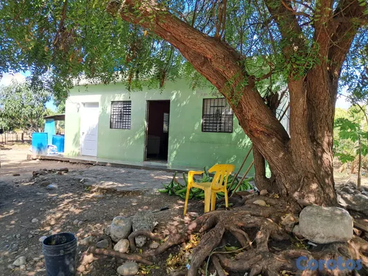 solares y terrenos - Se Vende Finca Agrícola de 48 Tareas en Quija Quie 4