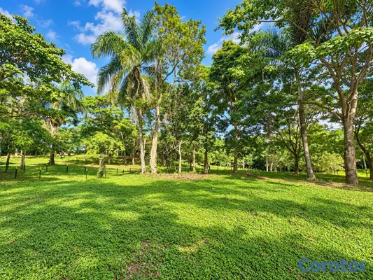 solares y terrenos - Solar 541 m2 en Las Terrenas, listo para construir

Precio: US$43,318 2