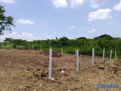 Vendo terreno en los Girasoles Sector Don Panchito 