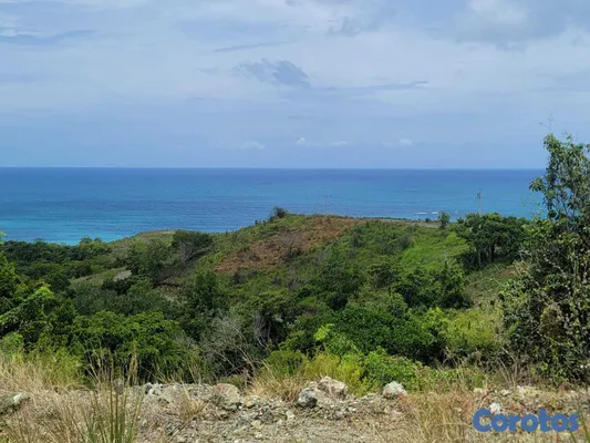 solares y terrenos - Solar en venta con vista al mar en Gaspar Hernández  3