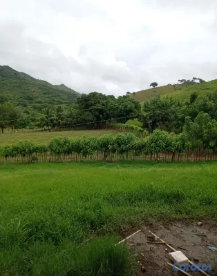 solares y terrenos - FINCA GANADERA EN HIGÜEY - 1,000 TAREAS 💰 📍 PRECIO 4