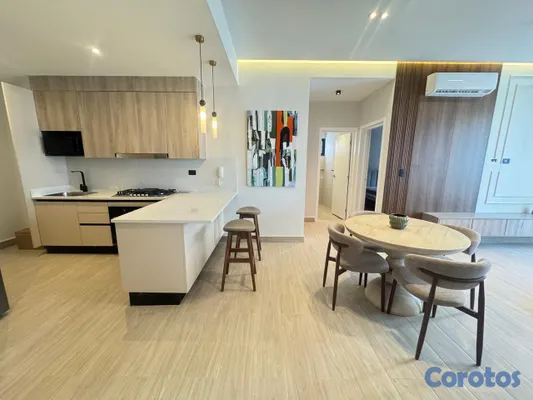 apartamentos - En alquiler apartamento de 2 habitaciones en Bella Vista 7