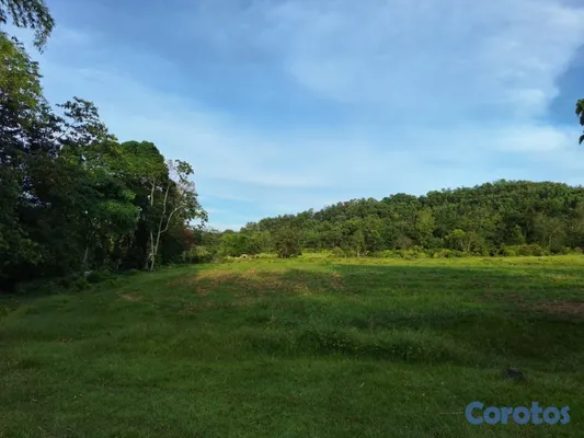 solares y terrenos - Lotificacion blanco🤍🌳🌿 3