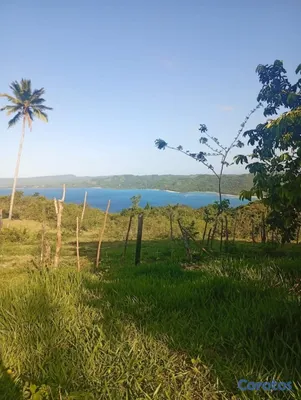 solares y terrenos - se vende en samana playa ricon 3
