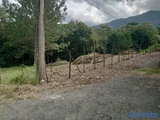 solares y terrenos - SOLAR EN VENTA EN JARABACOA 5