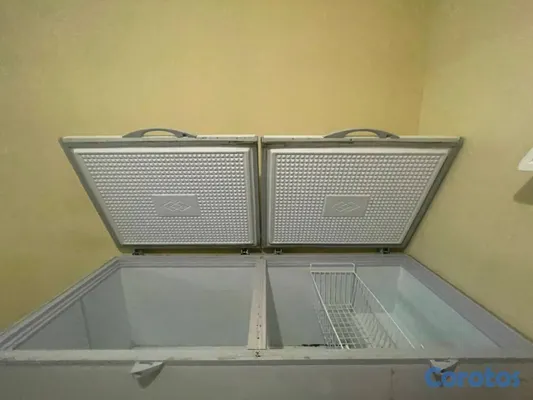 equipos profesionales - friser 3