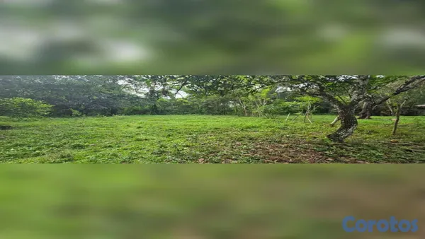 solares y terrenos - 🌿 ¡OPORTUNIDAD DE TERRENO EN BONAO, PRÓXIMO AL RÍO MASIPEDRO! 3