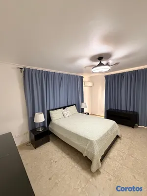 apartamentos - Apartamento en Venta, Piantini 19