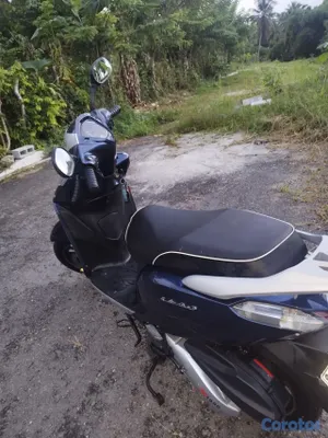 motores y pasolas - Pasola X1000 de 150cc 7