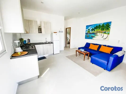 apartamentos - Hermoso apartamento amueblado con jardín y piscina. 7