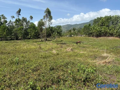 Los mogotes, Villa Altagracia. Terreno para construir la villa de tus sueños.