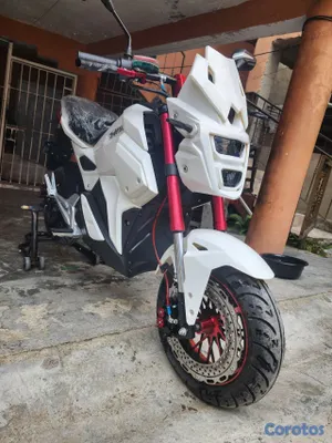 motores y pasolas - motor electrico ZP Champion  2