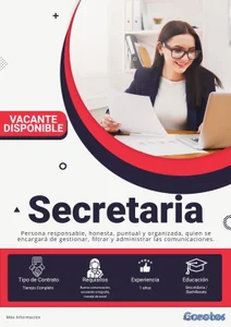 BUSCO SECRETARIA EN SANTO DOMINGO