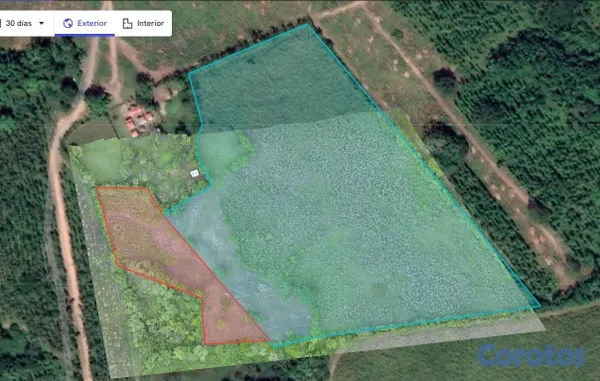 solares y terrenos - POTENCIAL PROYECTO AGROPECUARIO O ENERGÍA SOLAR   6