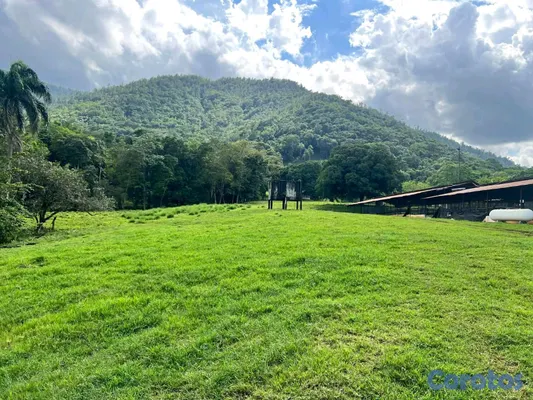 solares y terrenos - finca de criadero de animales en maimon 6